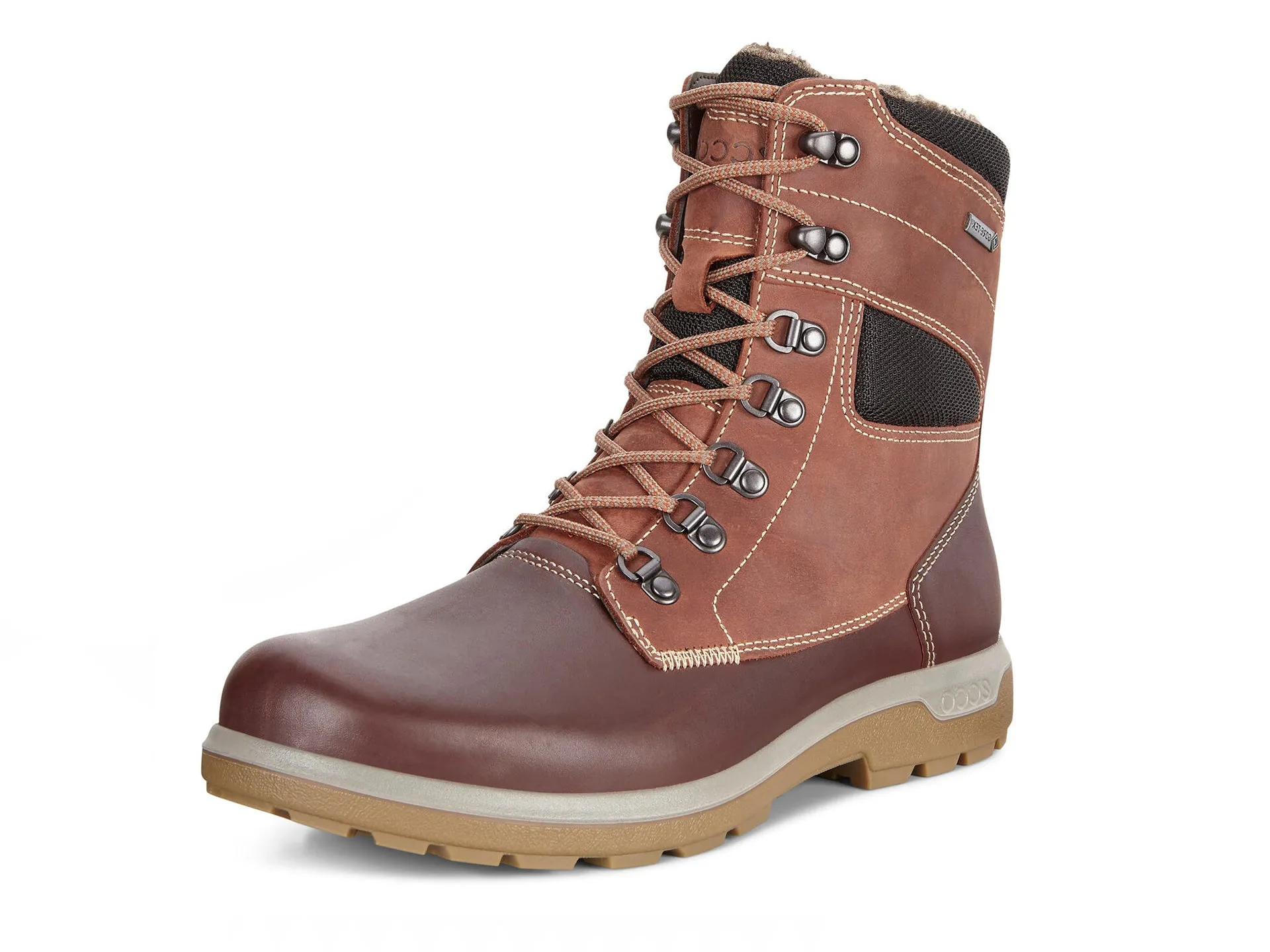 ECCO Whistler GTX Boot